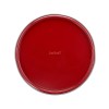 Форма разъемная Tefal Delibake J1641174 19см