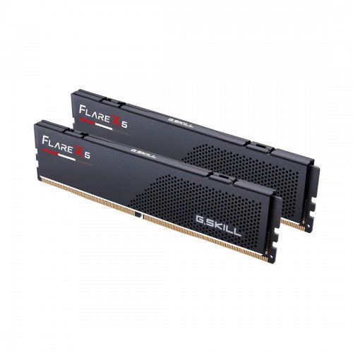 Комплект модулей памяти G.SKILL Flare X5 F5-5600J3036D16GX2-FX5 DDR5 32GB (Kit 2x16GB) 5600MHz