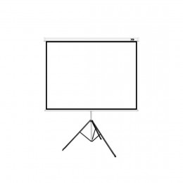 Экран на треноге XG DLS-T244x183W, Раб. поверхность 232х174 см.