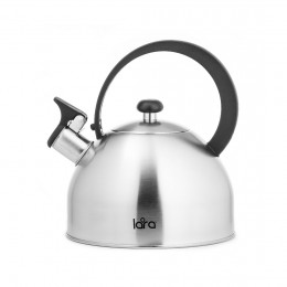 Чайник LARA LR00-65 матовый