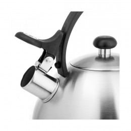 Чайник LARA LR00-65 матовый