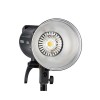 Импульсный свет Godox DP400IIIV
