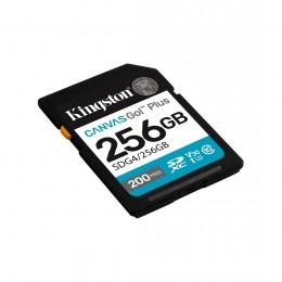 Карта памяти Kingston SDG4/256GB Canvas Go Plus Gen4 C10 UHS-I U3 V30 256GB
