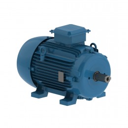Асинхронный электродвигатель WEG 12310536 AM W20 -100L 2.2 кВт 4P B3T 220-460 В 50 Гц