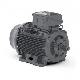 Асинхронный электродвигатель WEG 16257924 WGOST-L100L 4 кВт 4P B3T 220/380 В 50 Гц