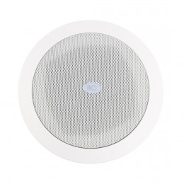 Громкоговоритель ITC T‑305AP