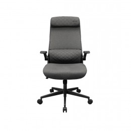 Компьютерное кресло Cougar Stryder Gray