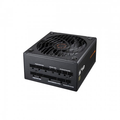Блок питания Cougar GLE 1000