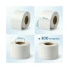 Термоэтикетки в рулоне Europrint EPLE-100.100.300.40 (2 рулона)