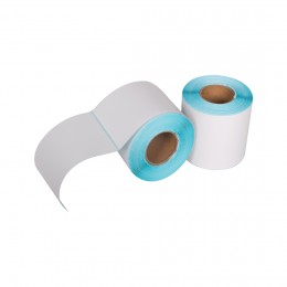 Термоэтикетки в рулоне Europrint EPLE-100.100.300.40 (2 рулона)