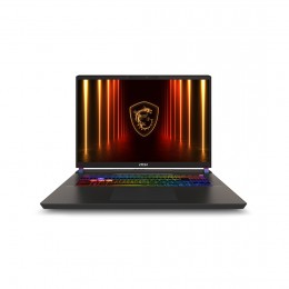 Ноутбук MSI Vector 17 HX AI A2XWHG-087XKZ 17\