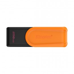 USB-накопитель Kingston DTXS/256GB 256GB
