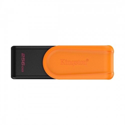 USB-накопитель Kingston DTXS/256GB 256GB