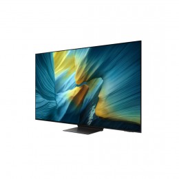 Телевизор SAMSUNG QE65S95FAUXCE
