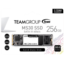 Твердотельный накопитель  256GB SSD TeamGroup MS30 M.2 SATA 2280 R500Mb/s W400MB/s TM8PS7256G0C101
