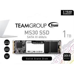 Твердотельный накопитель 1000GB SSD TeamGroup MS30 M.2 2280 R530Mb/s W480MB/s TM8PS7001T0C101