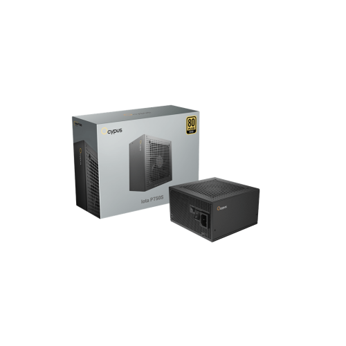 Блок питания Ocypus 750W, Iota P750S, Full Modular, ATX, 80+ GOLD, КПД 91%, Fan 120mm, Черный, Iota-P750S-GFFBK025X-EU