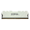 Оперативная память 16GB DDR5 5600MHz NOMAD UDIMM CL46 NMD5600D5U46-16GBHSW Heatsink White