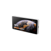 Универсальный экран 5,5" Ocypus Sigma ES55 WH IPS/960x480/60Hz/400cd/m2/Plastic,Tempered Glass/Белый Sigma-ES55-WHN00XXX-GL