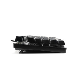 Клавиатура, Rapoo, V500PRO, Игровая, USB, Кол-во стандартных клавиш 104, Длина кабеля 1,8 метра, Анг/Рус, Чёрный