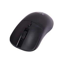 Компьютерная мышь, XG, XM-221OGB, Оптическая, 1000 dpi , 2*AAA, USB-адаптер 2.4 ГГц, Беспроводная, Чёрный
