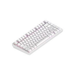Клавиатура, Dark Project, DPKB_NOSTRA_81_ANSI_WHITE_UA, ALU81A Terra Nostra, Игровая, Механическая, 75%, g3ms Moonstone switches, USB, Подсветка RGB, Размер: 324 x 140 x 43 мм., Анг/Рус, Белый