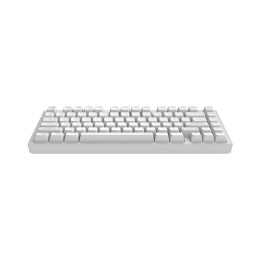 Клавиатура, Dark Project, DPKB_NOSTRA_81_ANSI_WHITE_UA, ALU81A Terra Nostra, Игровая, Механическая, 75%, g3ms Moonstone switches, USB, Подсветка RGB, Размер: 324 x 140 x 43 мм., Анг/Рус, Белый