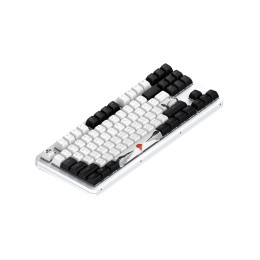 Клавиатура, Dark Project, DPKB_FUJI_87_ANSI_UA, 87 Fuji V2, Игровая, Механическая, TKL, g3ms Sapphire switches, USB, Подсветка RGB, 365x137x42 мм., Анг/Рус, Белый