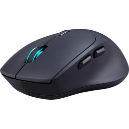 Беспроводная Мышь Defender Effect X MS-095	Разрешение 800/1200/1600 DPI, 5 + колесо-кнопка, Черная