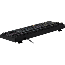 Клавиатура проводная игровая механическая Defender Blitz GK-240L RU,Rainbow (Черный), USB, ENG/RU, механические переключатели OUTEMU Blue, 12 режимов подсветки, подсветка символов и клавиш, технология Double injection,