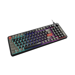 Игровая Клавиатура MSI FORGE GK110 RU, USB 2.0, 98кл, мембранная, кабель 1,5м (отсоединяемый) Черный