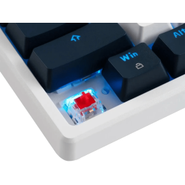 Клавиатура Acer OKR302 механическая белый USB беспроводная BT/Radio Multimedia for gamer для ноутбук ZL.KBDEE.016